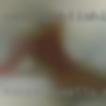 Massachusetts nude females